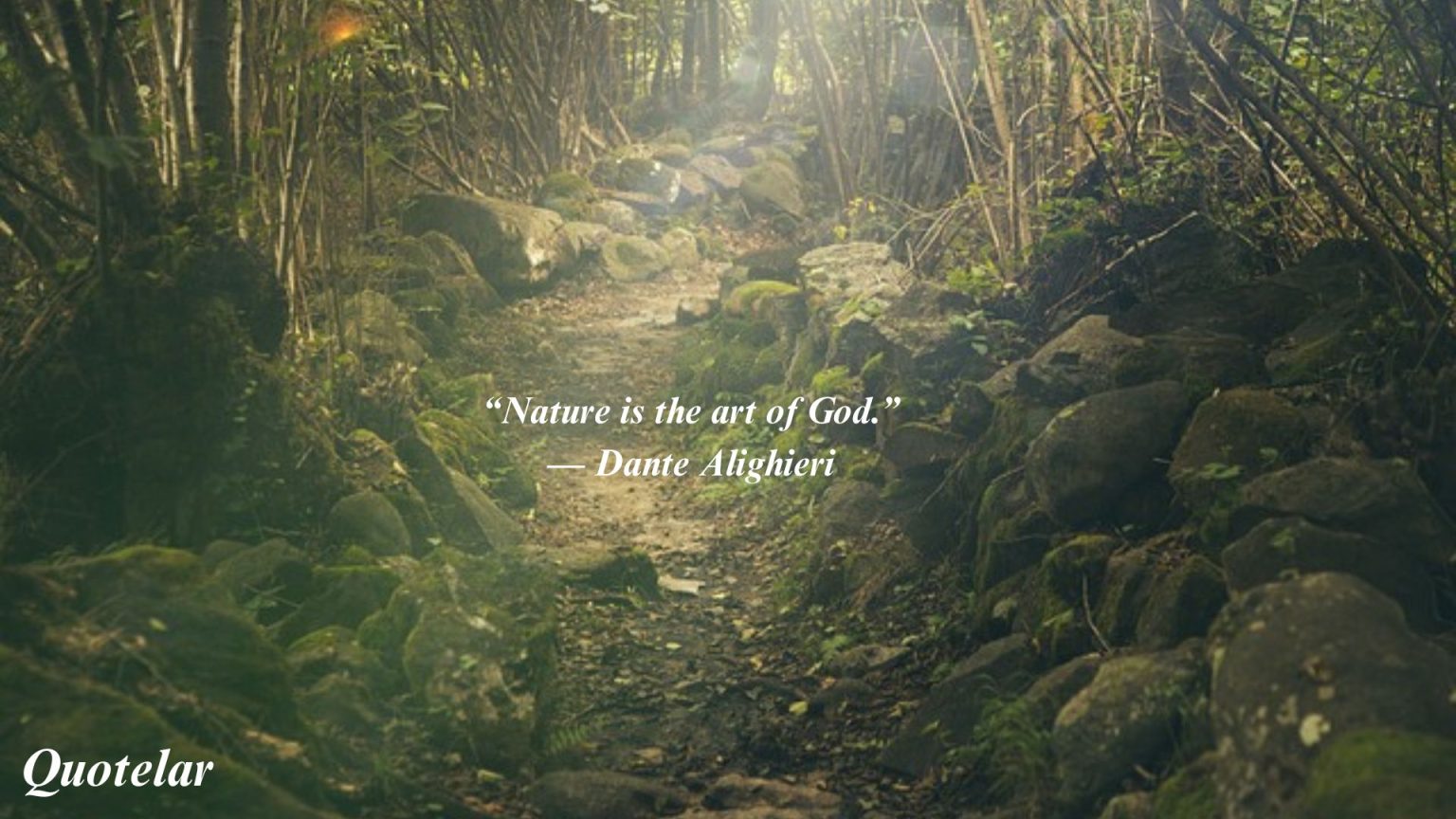 Nature Quotes