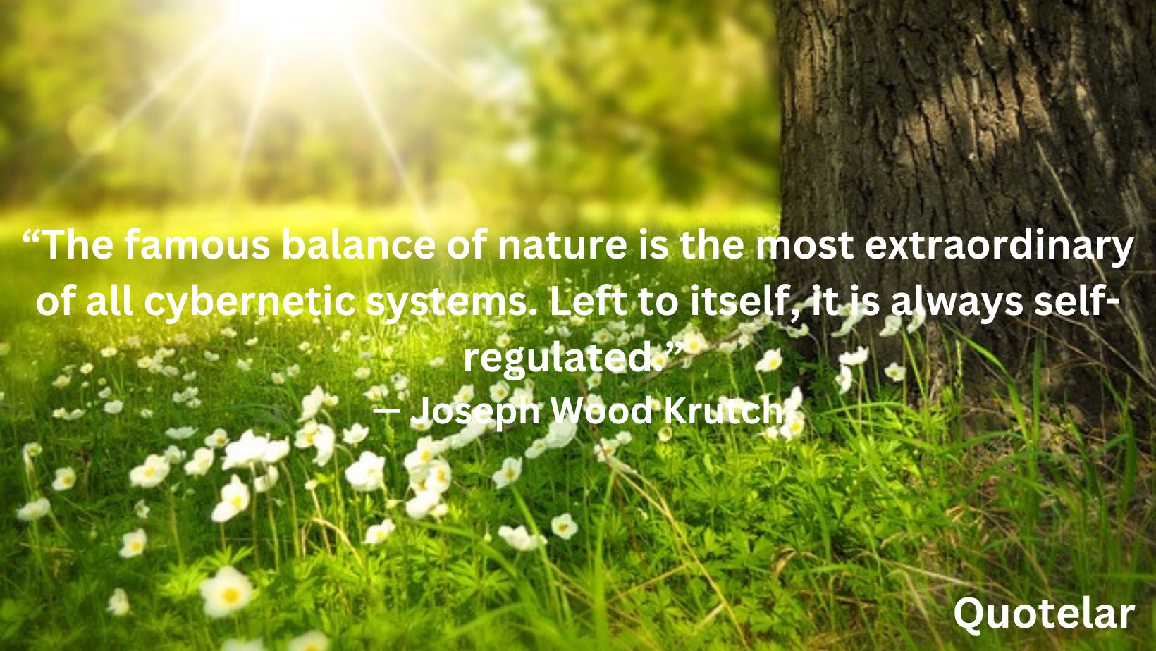 Balance Of Nature Quotes