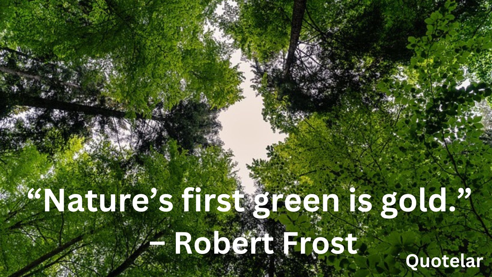 20+ Green Nature Quotes – Quotelar