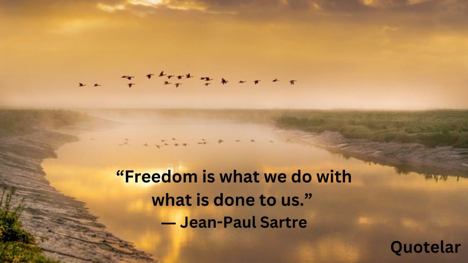 Freedom Quotes