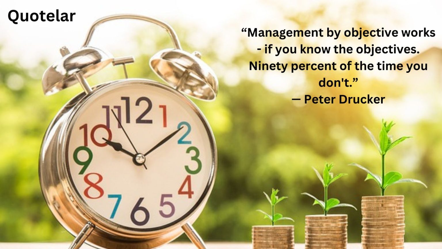 Management Quotes