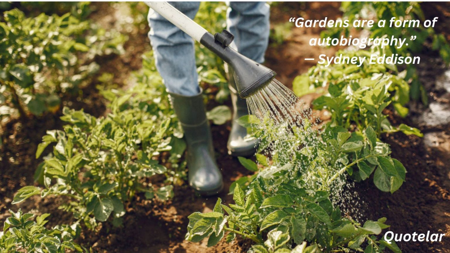 Gardening Quotes