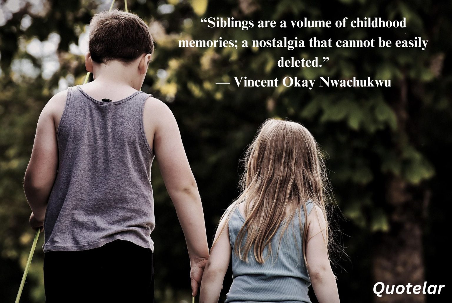 Sibling Quotes