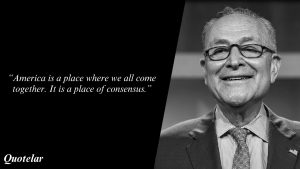 Charles Schumer Quotes
