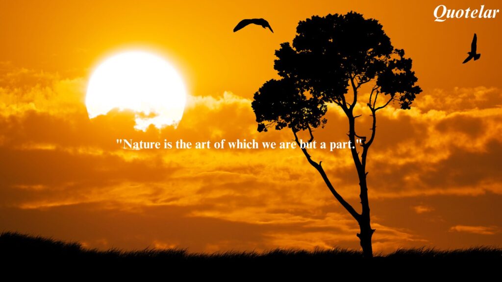 Aesthetic Nature Quotes