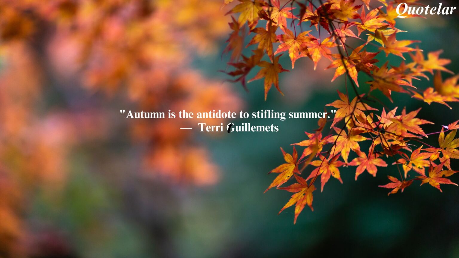 Autumn Quotes Inspirational