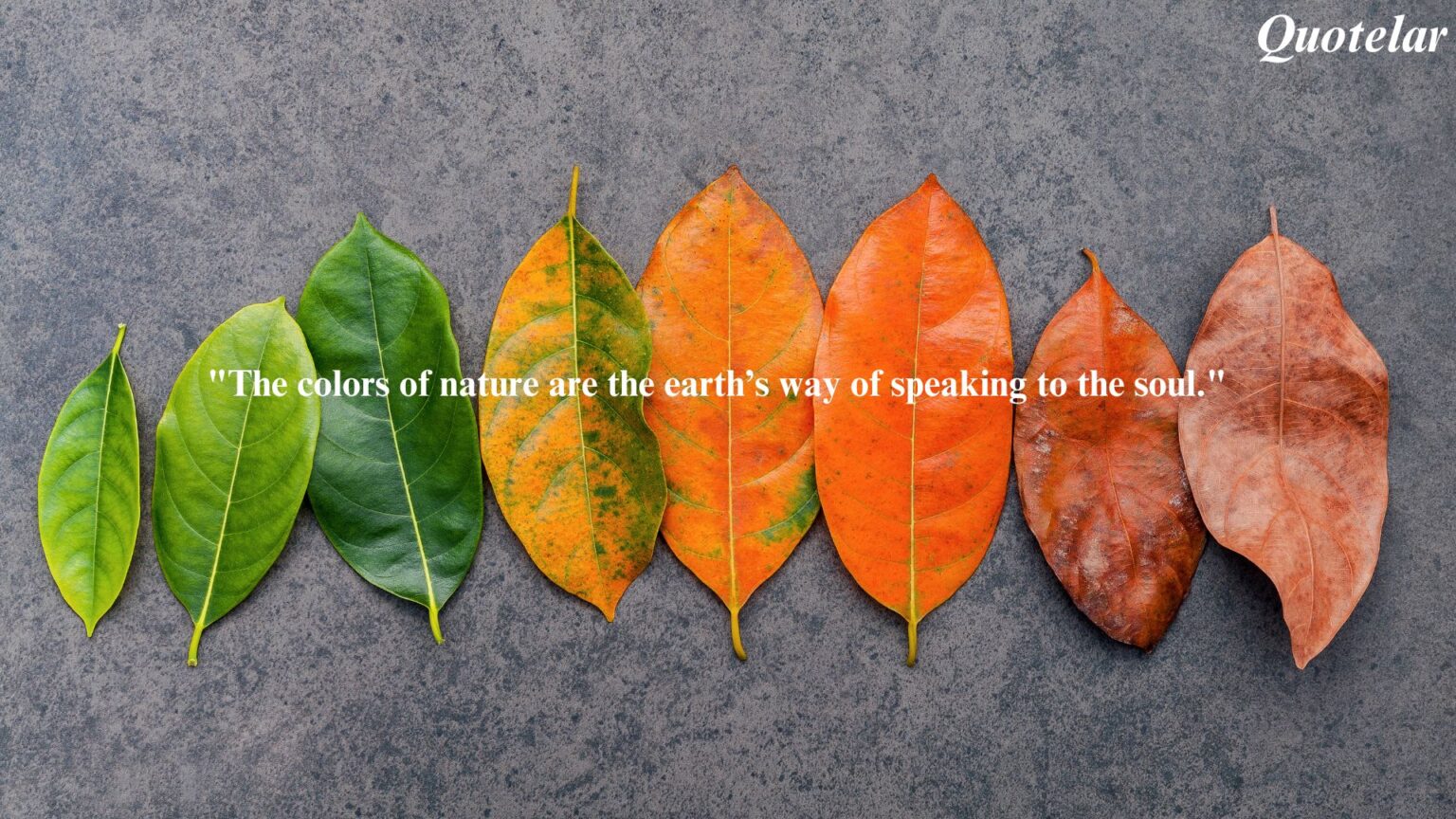 Colors Of Nature Quotes