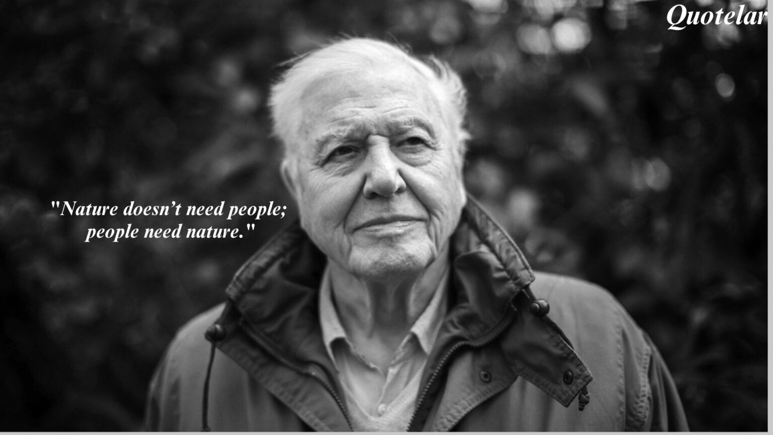 David Attenborough Quotes On Nature