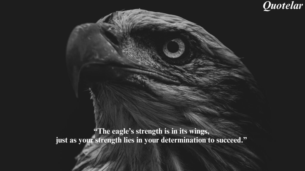 Eagle Quotes Success