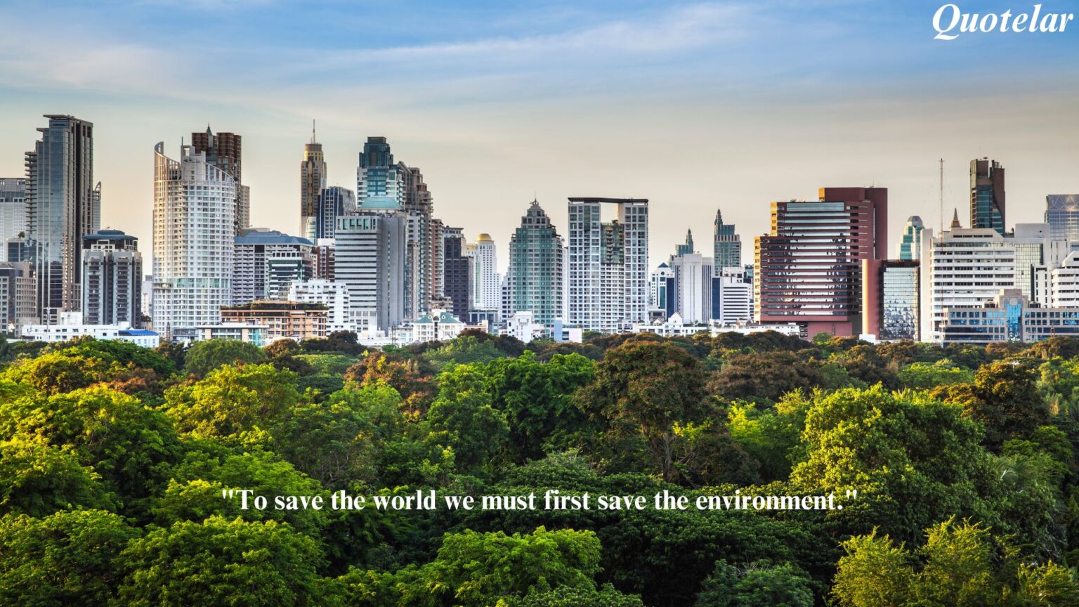 Environment Quotes