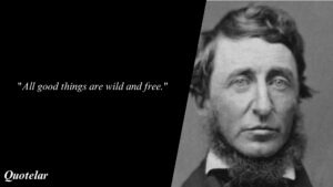 Henry David Thoreau Quotes Nature