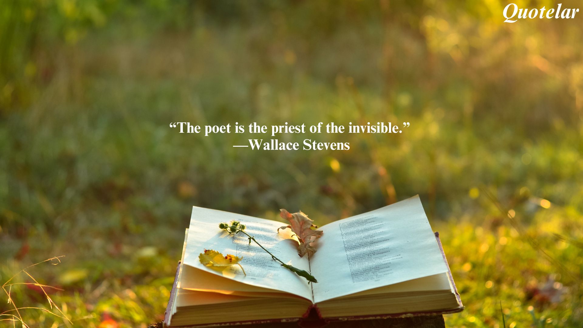 Quotes of Inspiration: Poetry’s Power to Illuminate and Uplift