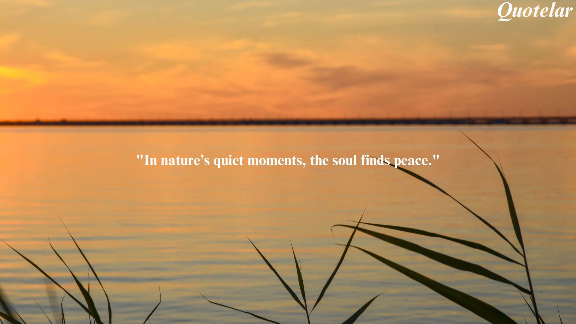 Nature Calm Quotes