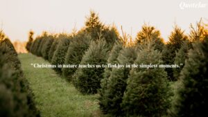 Nature Christmas Quotes