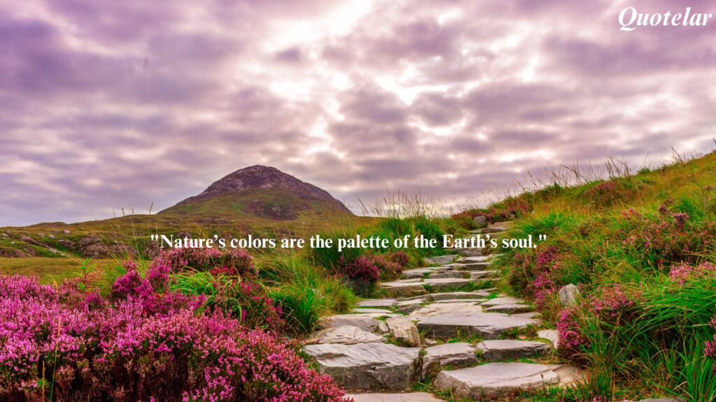 Nature Color Quotes