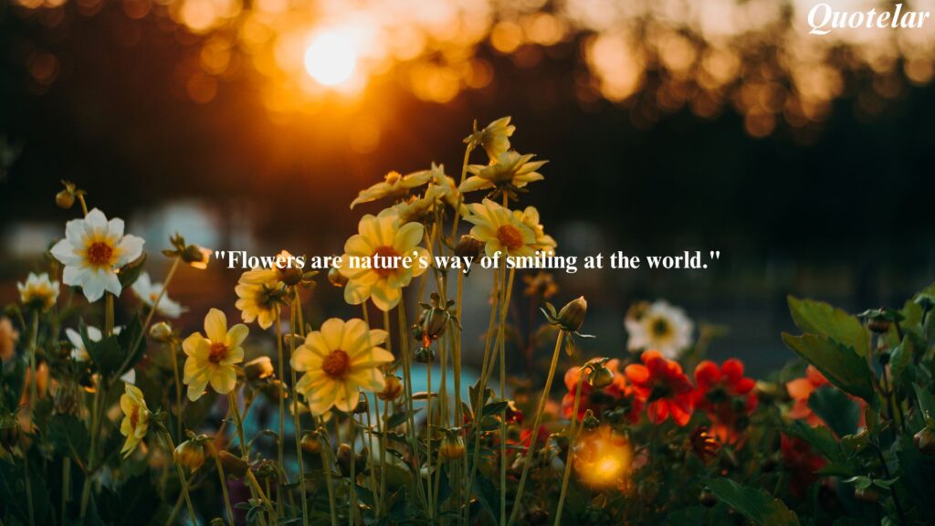 Nature Flower Quotes