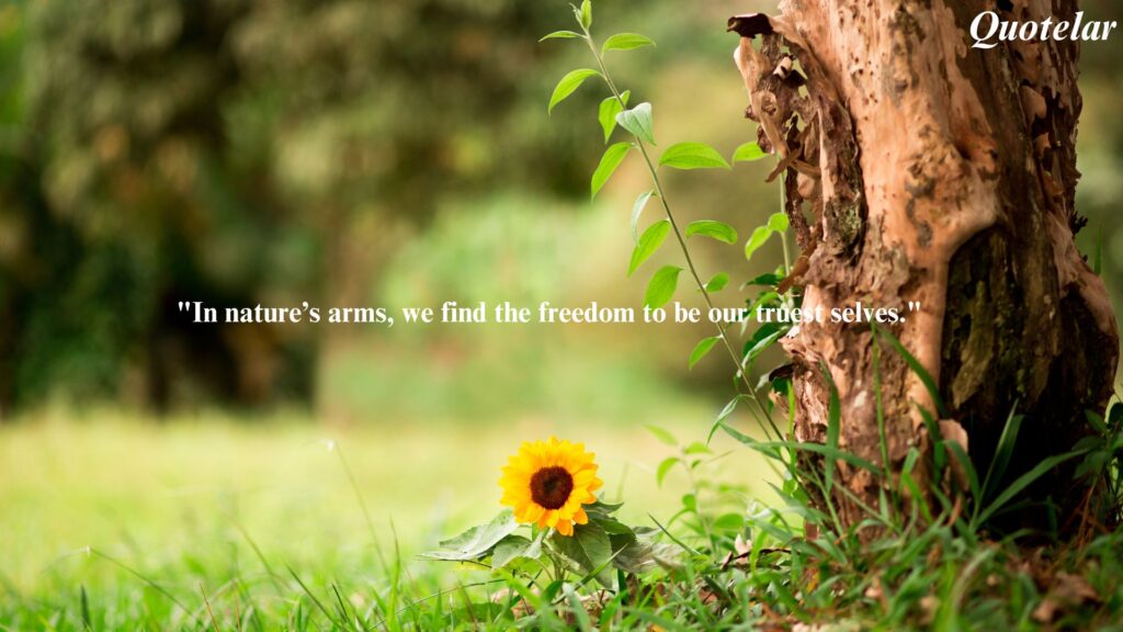 Nature Freedom Quotes