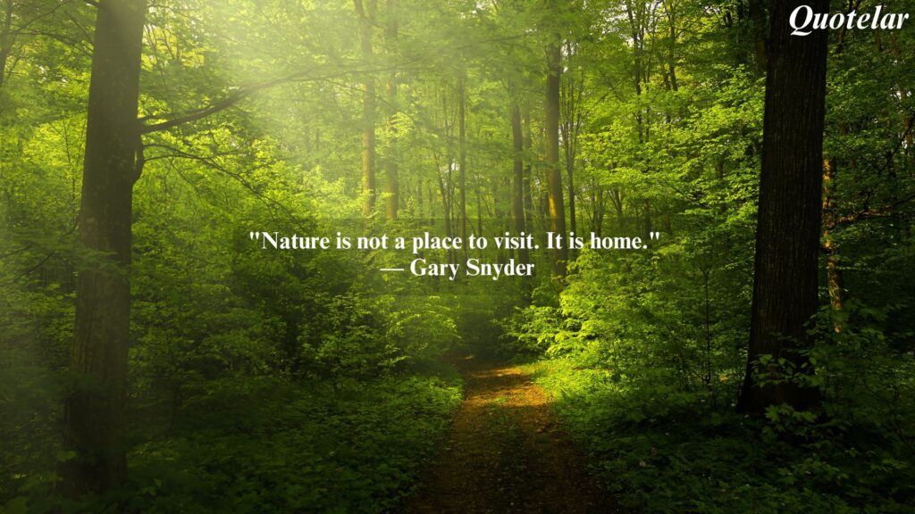 Nature Inspirational Quotes