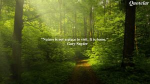 Nature Inspirational Quotes