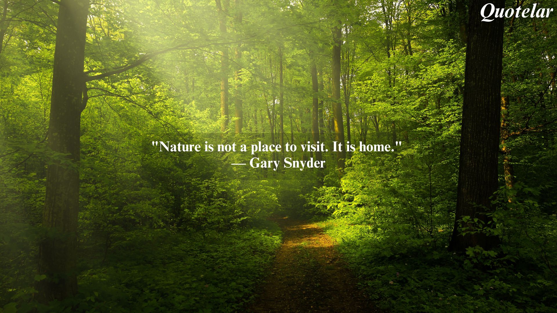 Inspiring Quotes That Celebrate the Beauty and Wisdom of Nature