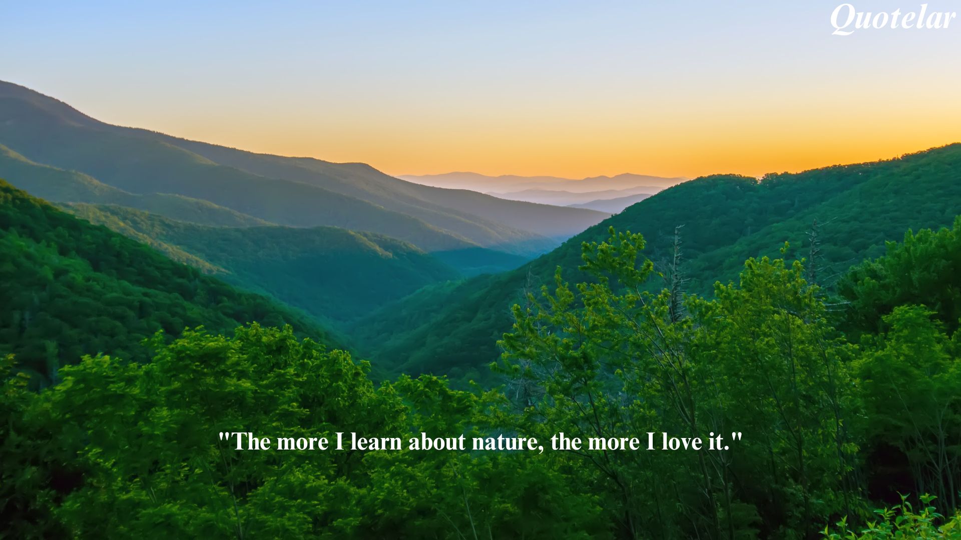 Heartfelt Quotes Celebrating a Deep Love for Nature