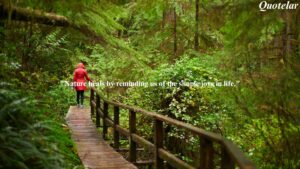 Nature Therapy Quotes