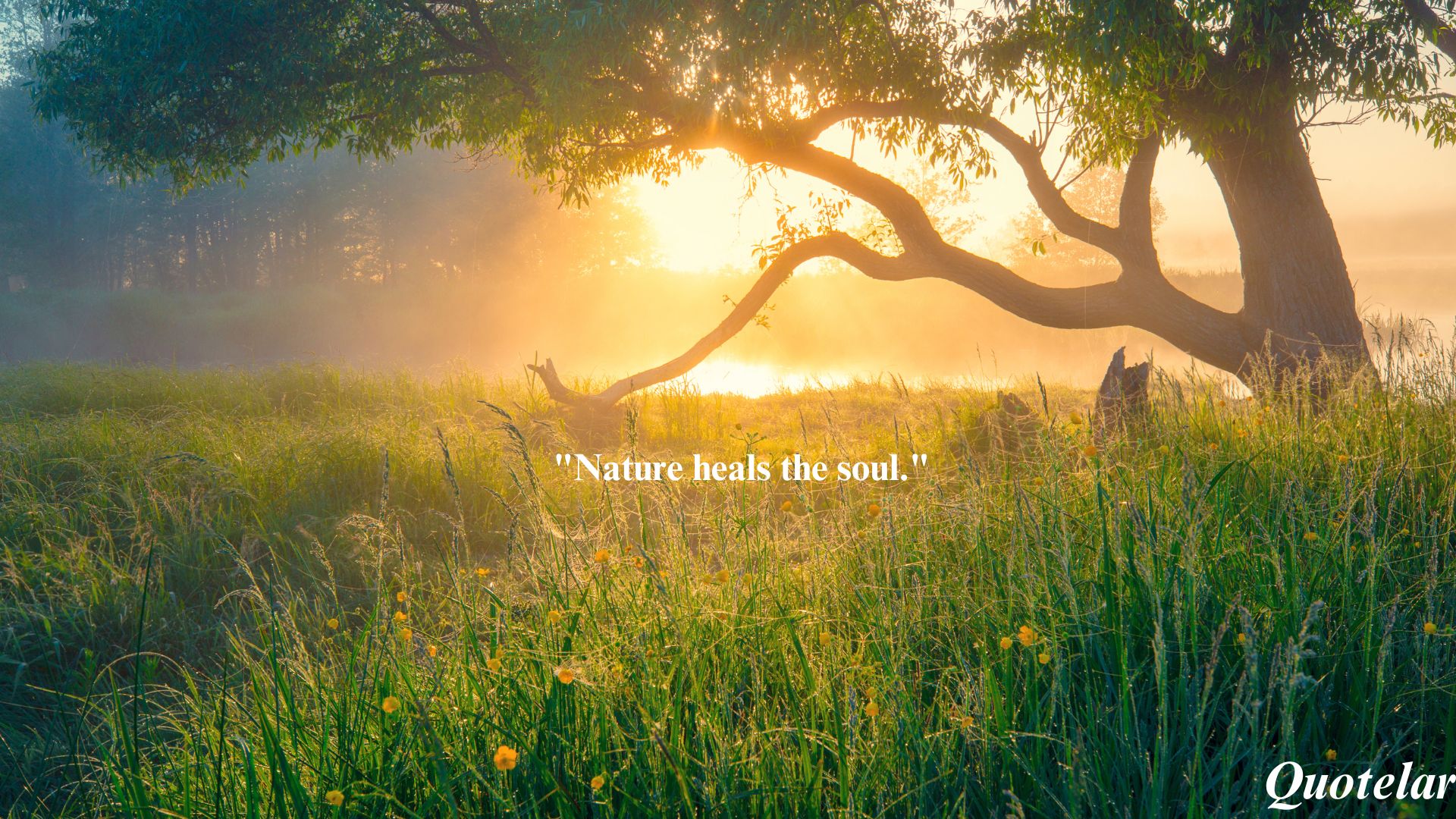 Nature Vibes Quotes