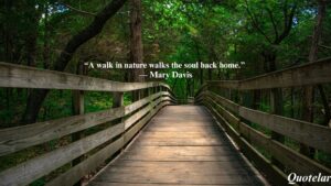 Nature Walk Quotes