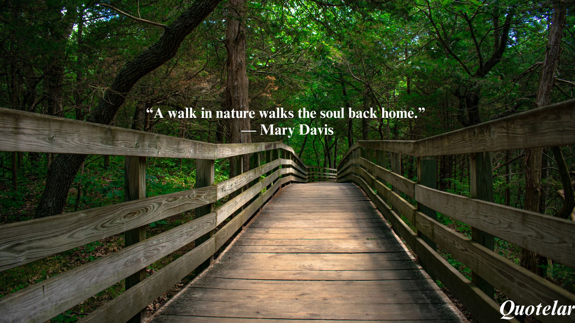 15 Inspiring Quotes to Enrich Your Nature Walk Experience