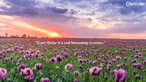 Quotes On Flowers And Nature