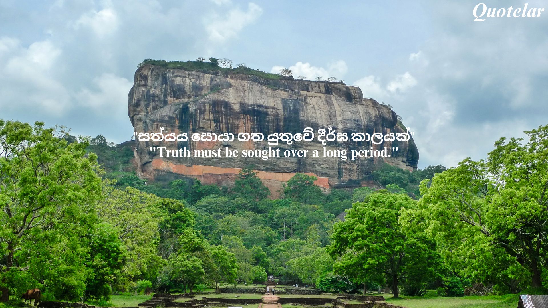 The Power of Sinhala Motivational Quotes