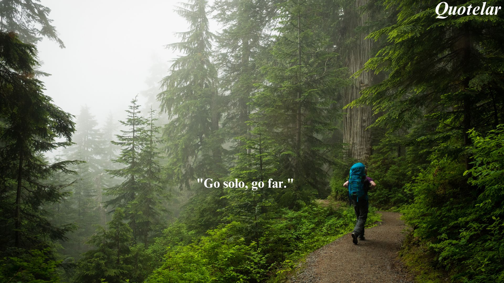 Solo Travel Quotes