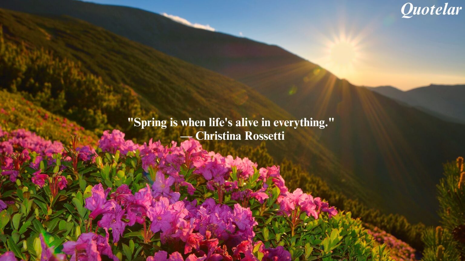 Spring Inspirational Quotes