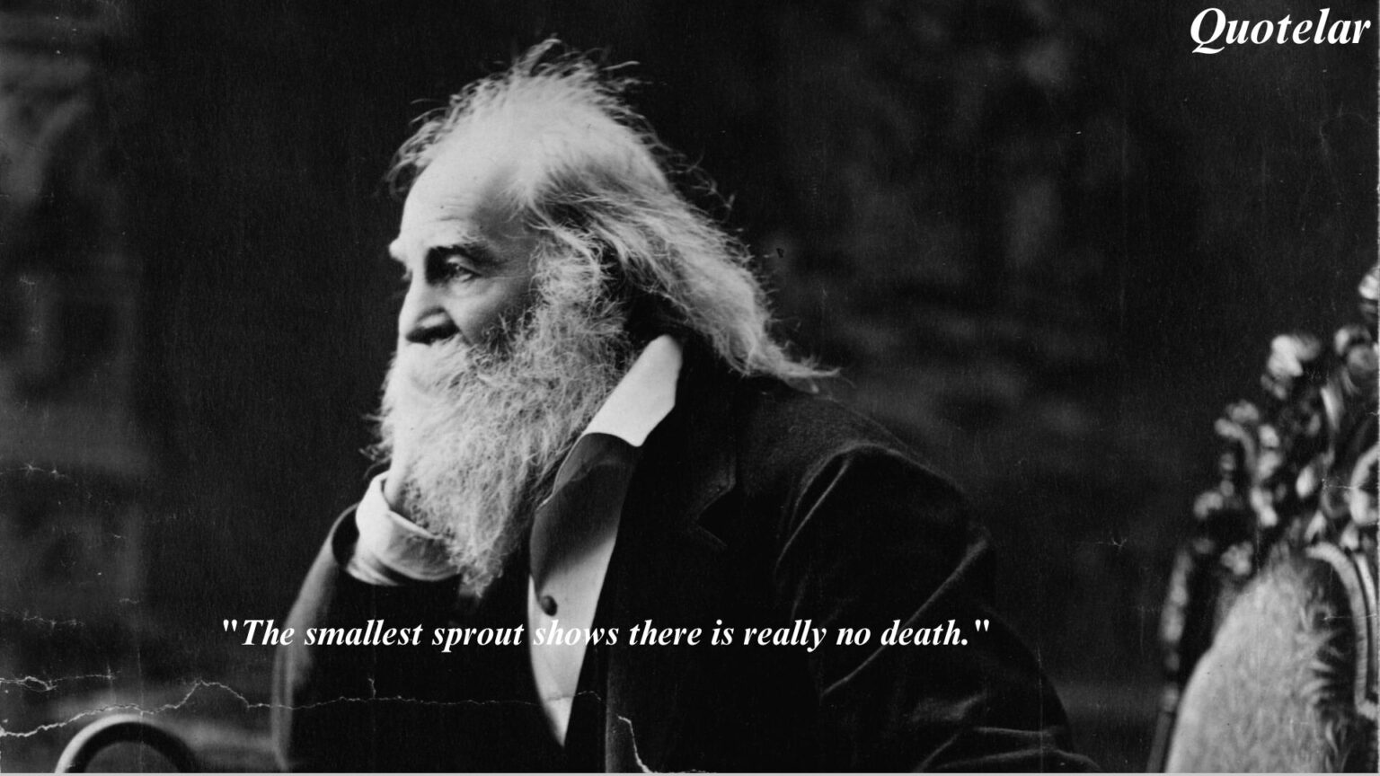 Walt Whitman Quotes About Nature