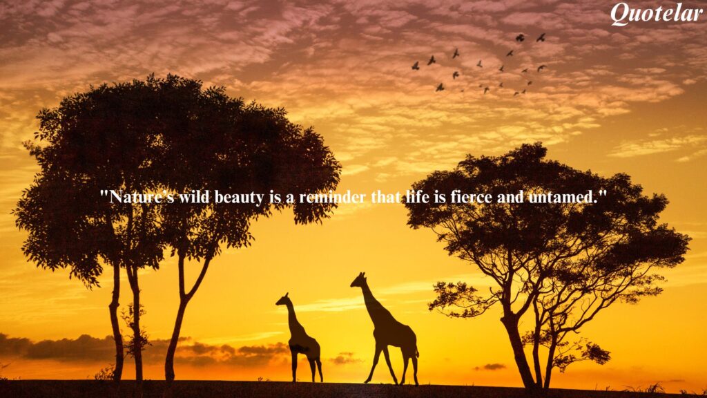 Wild Nature Quotes