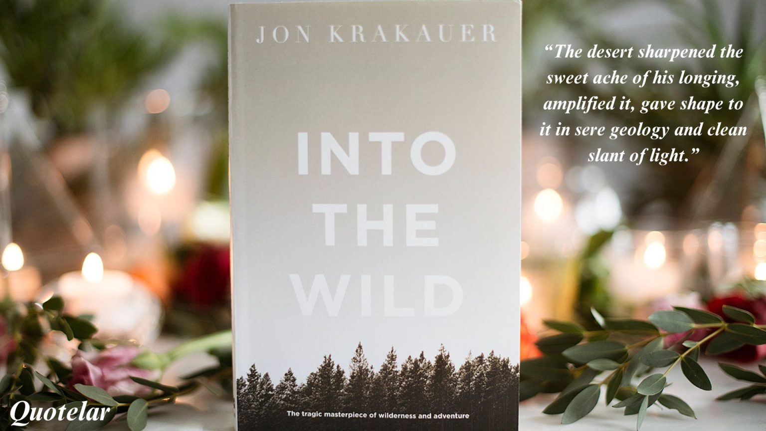 Into The Wild Book Quotes