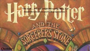 Harry Potter And The Sorcerer's Stone Book Quotes