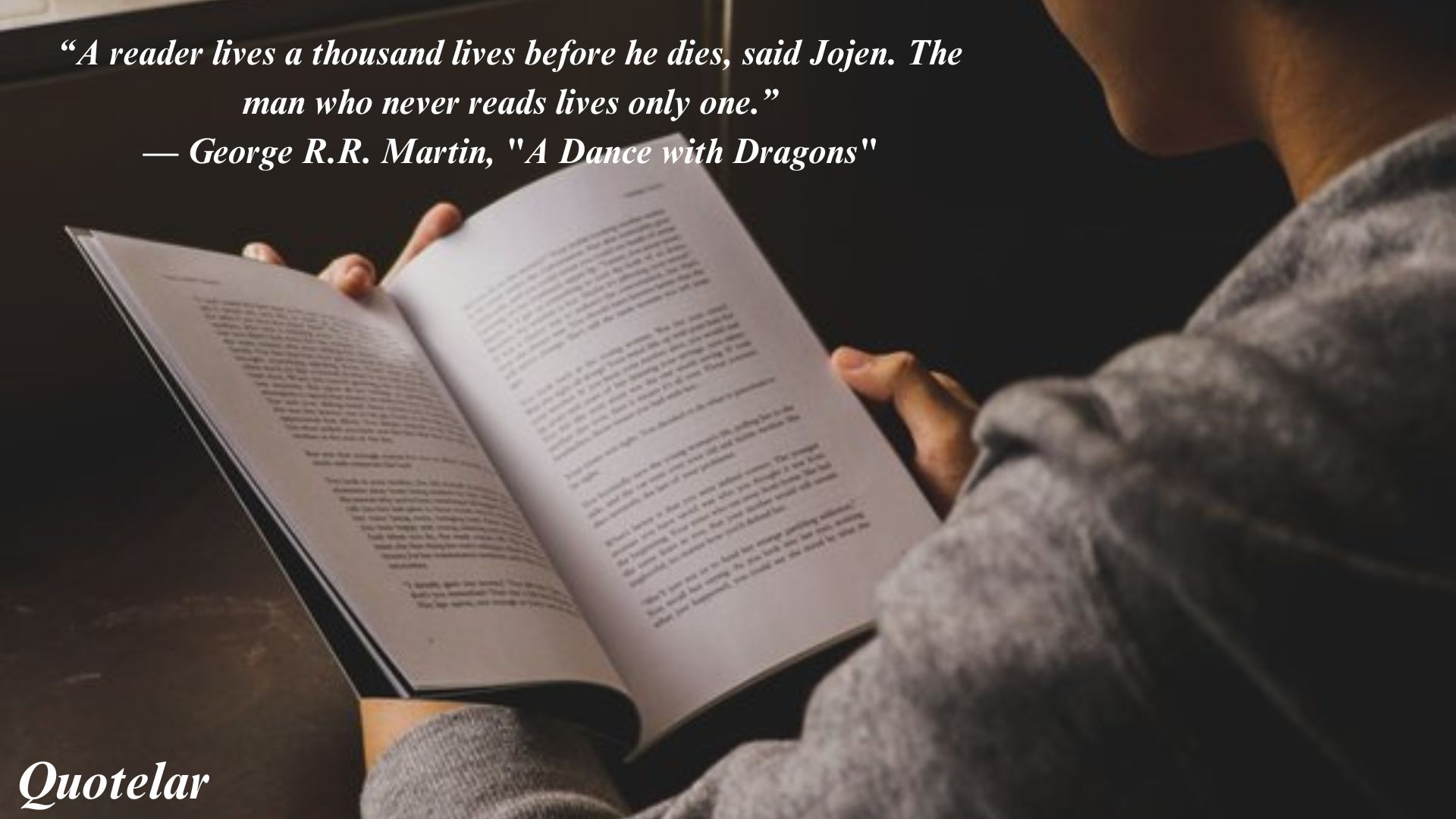 Book Quotes About Reading