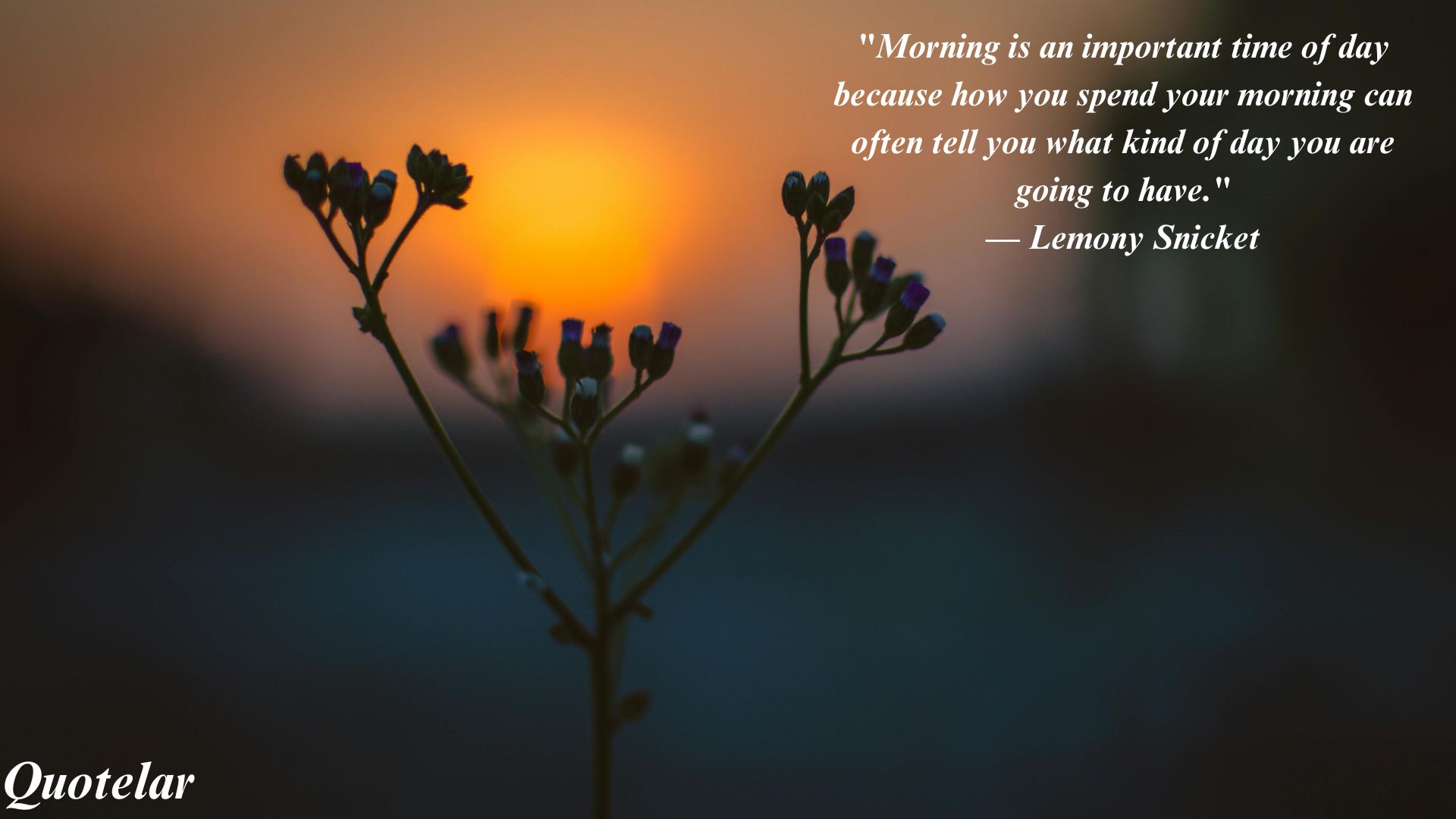 Top 10 Quotes of Good Morning