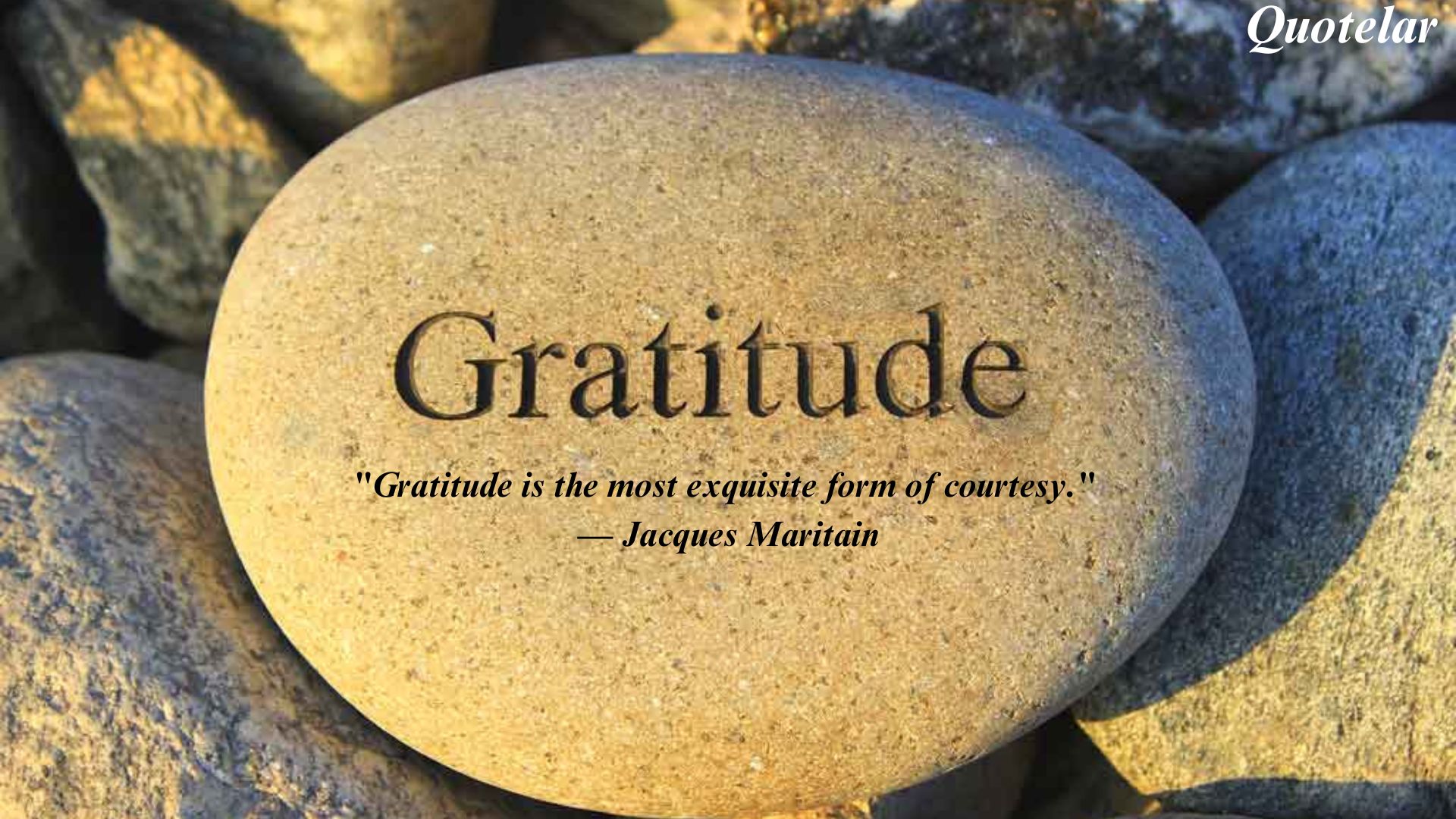 Top 10 Quotes of Gratitude